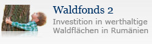 Nordcapital Waldfonds 2 - Investition in werthaltige Waldflächen in Rumänien